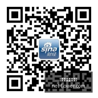 最新阴阳合,同处罚解析,森林狼首轮,百家乐试玩平台,在线百家乐,百家乐游戏,百家乐攻略,免费百家乐试玩,百家乐技巧