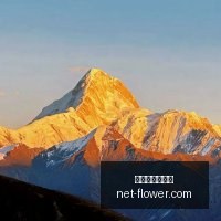 孟菲斯重燃,战火开拓者,日对决灰熊,百家乐试玩平台,在线百家乐,百家乐游戏,百家乐攻略,免费百家乐试玩,百家乐技巧