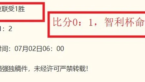 法国队新帅桑蒂尼当选引争议：法国足坛选帅疑云足球风暴-国际足坛新浪独家